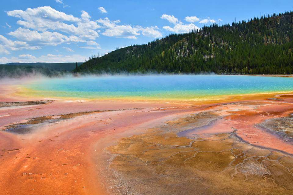 Yellowstone National Park_莊宜靜 (3)到了現場才知道明信片上的美景都是真實的!-13
